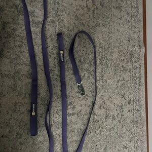 Ruffwear front range leashes